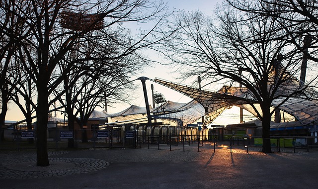 的信心和动 的信心和动