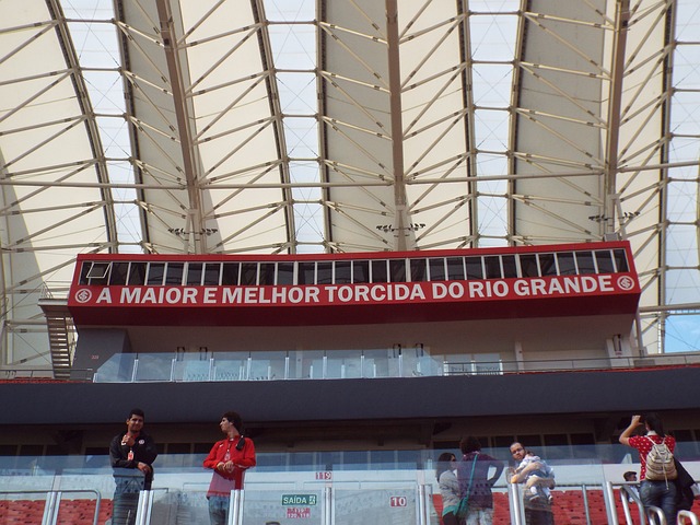 双核体系 双核体系