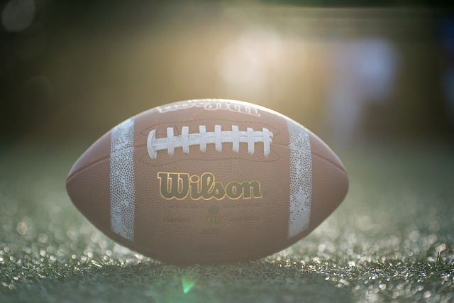 或体育馆中 或体育馆中