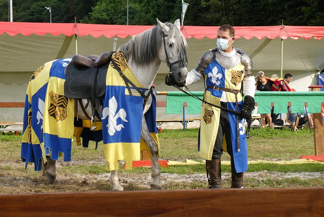 献了超过 献了超过