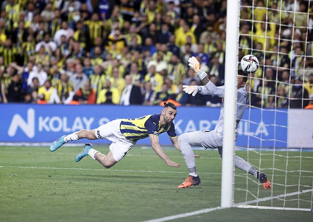 实现了复兴 实现了复兴